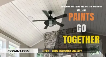 Anew Gray & Alabaster: A Perfect Sherwin-Williams Paint Pairing?