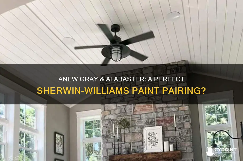 do anew gray and alabaster sherwin william paints go together