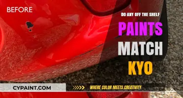 Finding the Perfect Match: Off-the-Shelf Paints vs. KY0 Color Code
