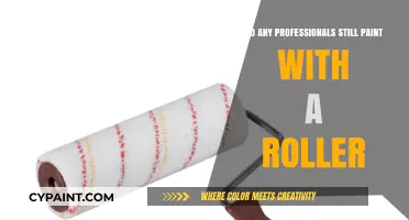 Are Paint Rollers Still Used by Professional Painters Today?
