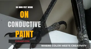 Can Bird Feet Safely Interact with Conductive Paint? Exploring the Science