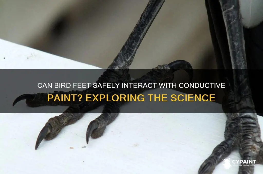 do bird feet work on conductive paint