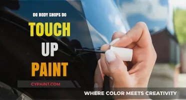 Can Body Shops Fix Minor Paint Scratches? Touch-Up Paint Explained