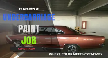 Undercarriage Paint Jobs: What Body Shops Offer and Why It Matters