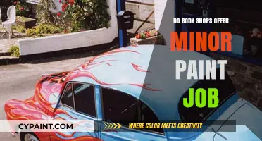 Can Body Shops Handle Minor Paint Jobs? Quick Fixes Explained