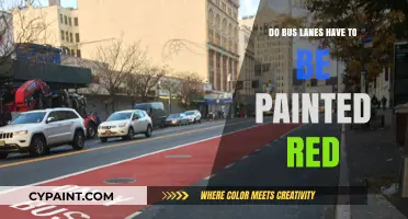 Red Bus Lanes: Are They Mandatory or Just a Colorful Choice?
