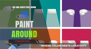 Effortless Painting: How to Easily Pull Down Can Lights for a Flawless Finish
