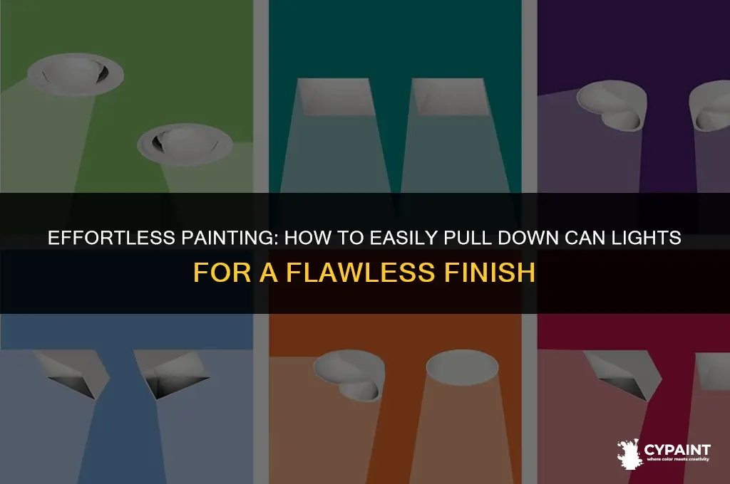 do can lights pull down to paint around