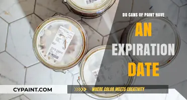 Unveiling the Mystery: Do Cans of Paint Have an Expiration Date?