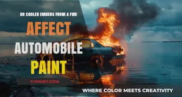 Will Fire Pit Ashes Damage Your Car Paint?