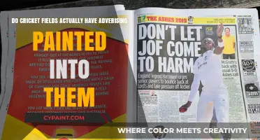 Cricket Fields: Advertising Havens or Creative Canvases?