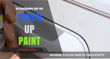 Do Dealerships Provide Touch-Up Paint for Your Vehicle?