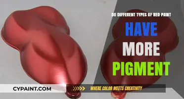 Exploring Pigment Diversity in Red Paints