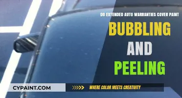 Auto Warranties: Do They Cover Paint Issues?