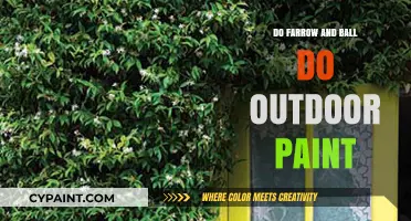 Can You Use Farrow & Ball Paint for Outdoor Projects?