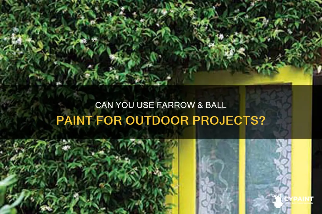 do farrow and ball do outdoor paint