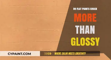 Flat vs. Glossy Paint: Which Cracks More Over Time?