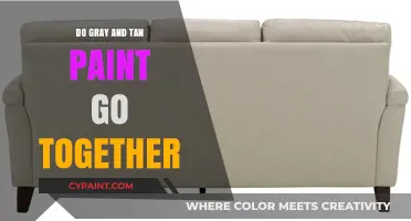 Gray and Tan Paint Harmony: A Perfect Neutral Color Combination?