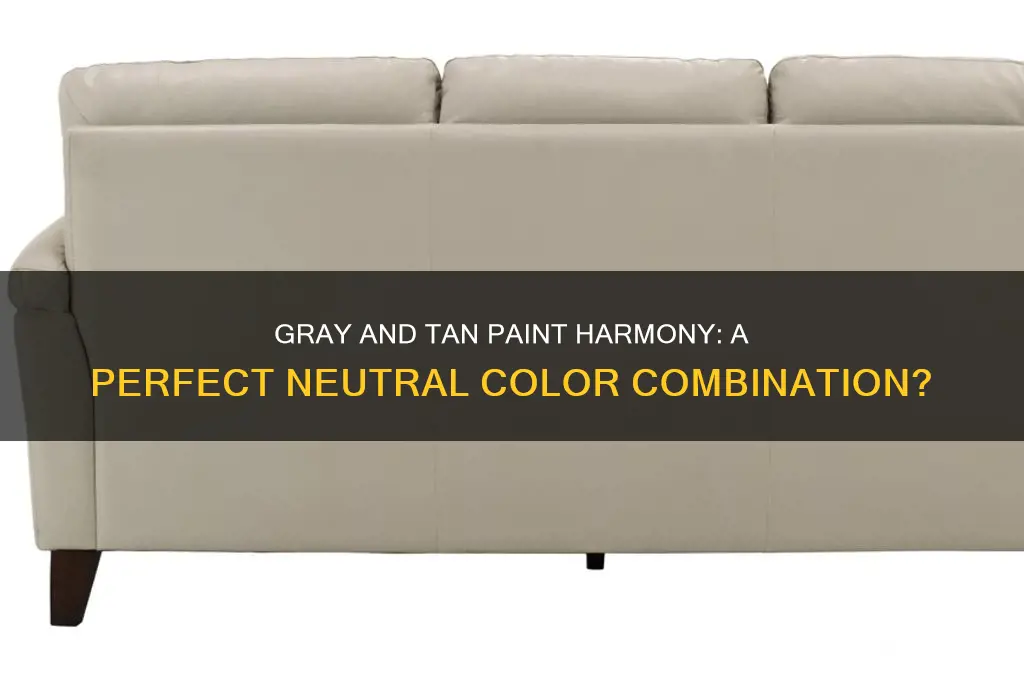 do gray and tan paint go together
