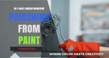 Could Paint Fumes Be Causing Your Carbon Monoxide Poisoning Symptoms?