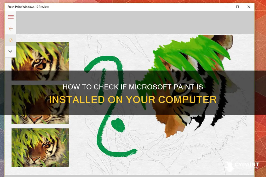 do i have mircosoft paint on my computer