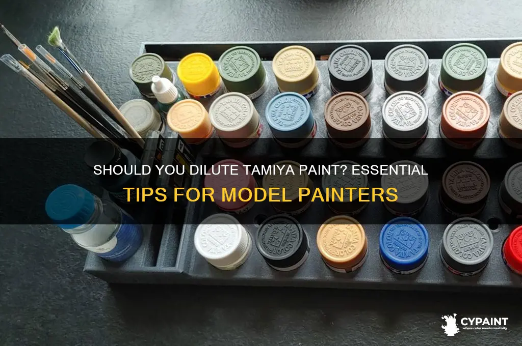 do i have to dilute tamiya paint