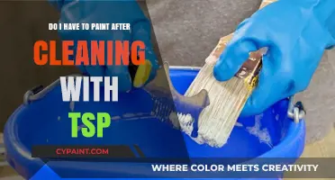 TSP Cleaning: To Paint or Not to Paint?