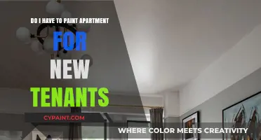Preparing Apartments for New Tenants: Painting Requirements