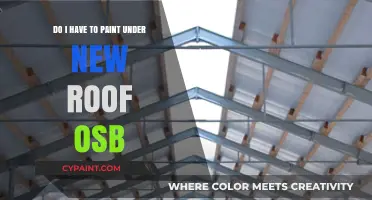 OSB Roofs: To Paint or Not?