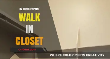 Should You Paint Your Walk-In Closet? Pros, Cons, and Tips