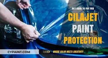 Explore Cilajet Paint Protection: Is It Worth the Cost?