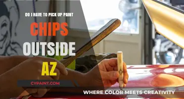 Arizona Paint Chips: Must You Collect Outside the State?