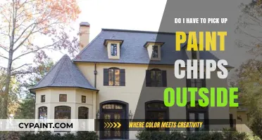 Picking Up Paint Chips: An Outdoor Necessity?