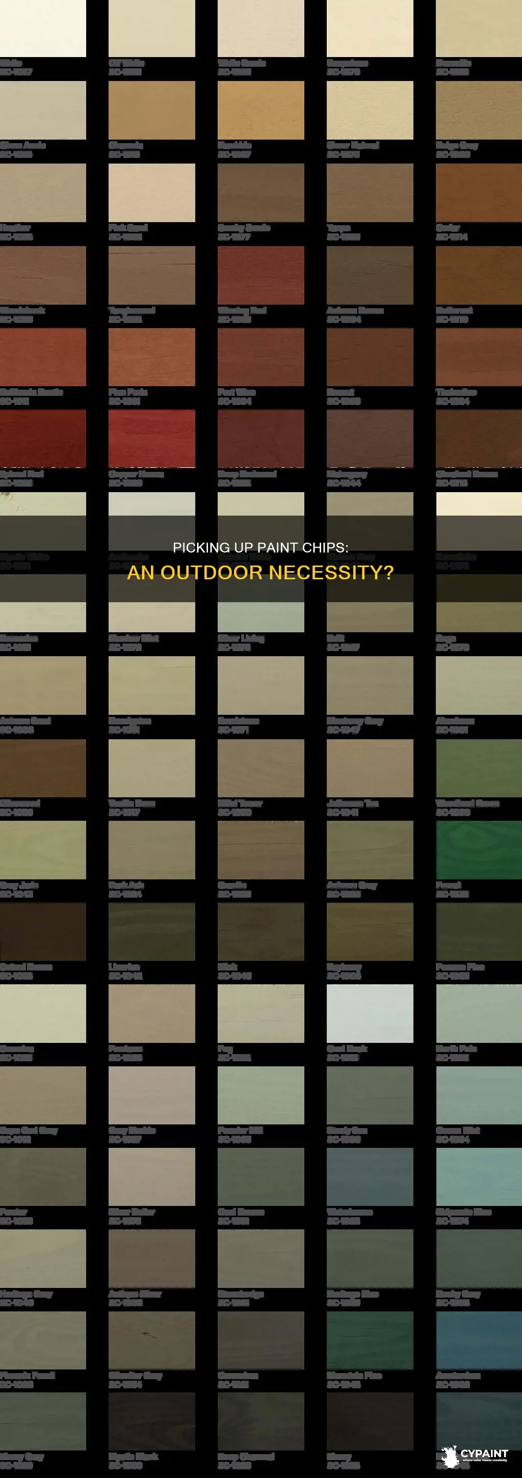 do i have to pick up paint chips outside