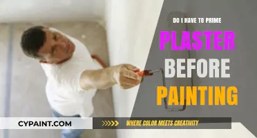 Priming Plaster: Essential Step or Optional Before Painting Walls?