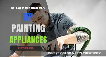 Sanding Before Touch-Up Painting Appliances: Essential Step or Optional?