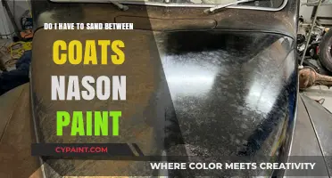 Sanding Nason Paint Coats: To Sand or Not to Sand?