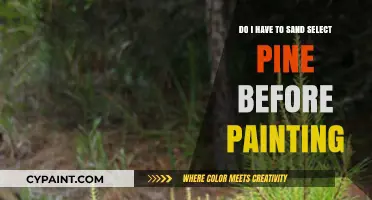 Sand or No Sand: Painting Select Pine