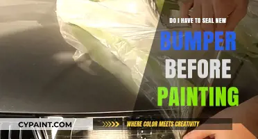 Primer or No Primer: Painting Bumpers