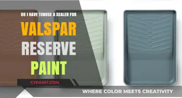 Should You Use a Sealer with Valspar Reserve Paint? Tips & Insights