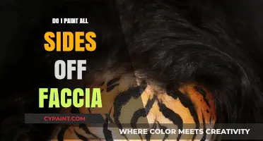 Should You Paint All Sides of a Faccia? A Complete Guide