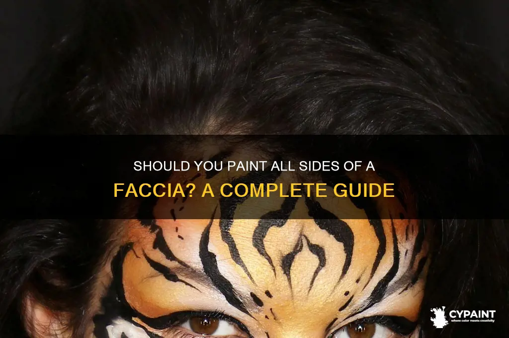 do i paint all sides off faccia