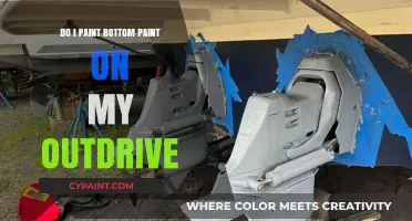 Should You Apply Bottom Paint to Your Outdrive? A Guide