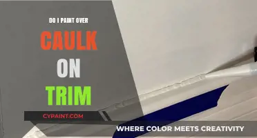 Should You Paint Over Caulk on Trim? Expert Tips and Advice
