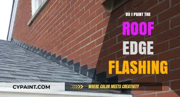 Should You Paint Roof Edge Flashing? Pros, Cons, and Best Practices
