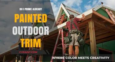 Should You Prime Already Painted Outdoor Trim? Expert Tips and Advice