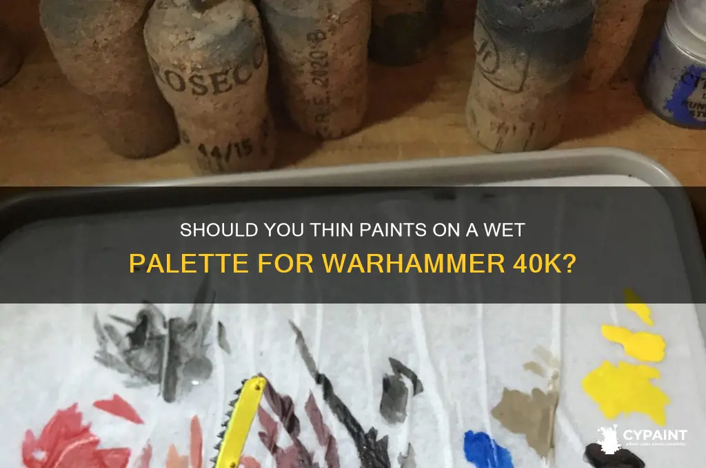 do i thin my paints on a wet palette 40k