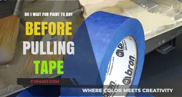 Should You Wait for Paint to Dry Before Removing Tape?