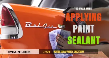 Wax After Paint Sealant: Enhancing Shine or Unnecessary Step?