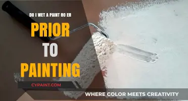 Should You Wet a Paint Roller Before Painting? Expert Tips Revealed